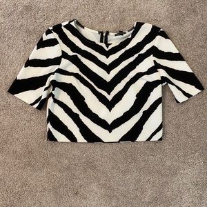 Zebra Print Shirt